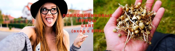 бошки Наволоки