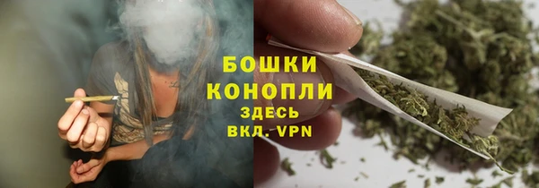 сатива Нефтекумск