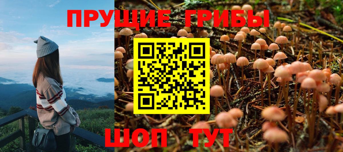 Галлюциногенные грибы мицелий Карпинск