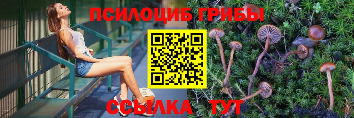 Галлюциногенные грибы мухоморы  Псилоцибиновые грибы Cubensis  Карпинск 