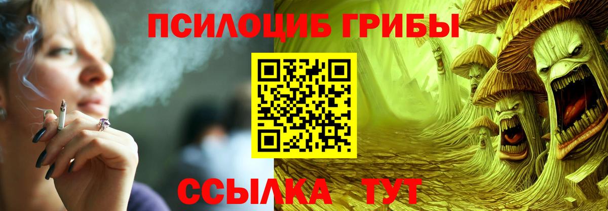 Псилоцибиновые грибы Psilocybine cubensis Карпинск