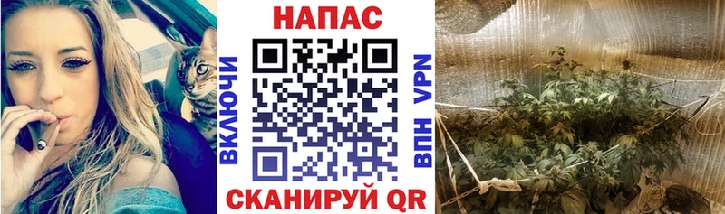 Бошки Шишки ГИДРОПОН  omg рабочий сайт  Карпинск 